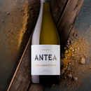 Marques de Caceres 'Antea' Barrel Fermented White Rioja - 750ml