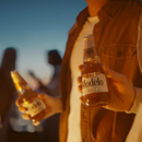 Modelo Especial Beer 24 x 355ml