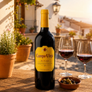Campo Viejo Tempranillo - 750ml
