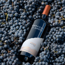 Terrazas Selection Malbec